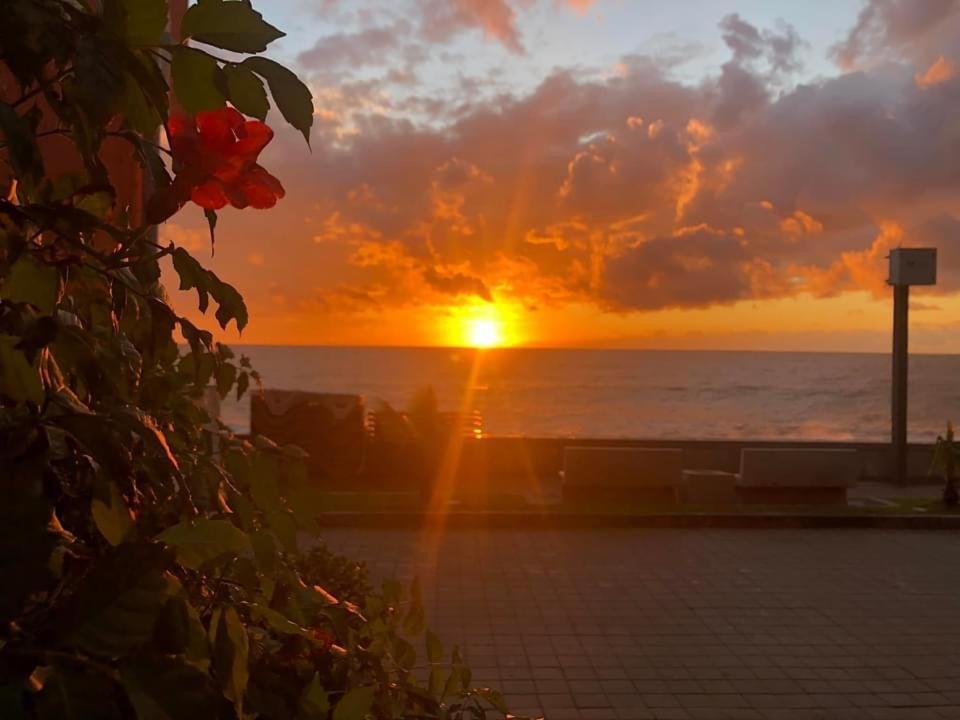 Guest House Orange Kobuleti Bagian luar foto